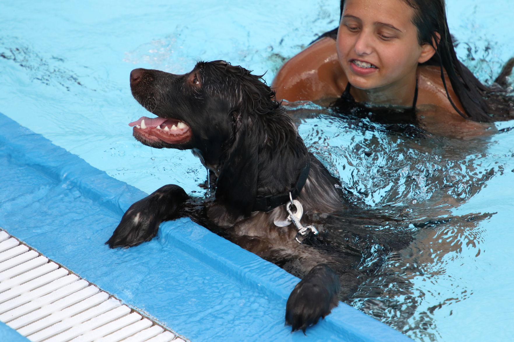 Dogs at the pool (42).JPG